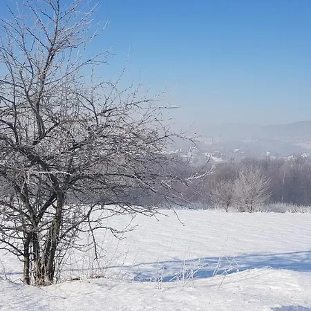 Holiday home Dom Grabowa Z Sauna , Podgrzewanym Basenem I Balia Z Hydromasazem *