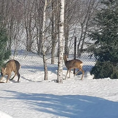 Ferienhaus Dom Grabowa Z Sauna , Podgrzewanym Basenem I Balia Z Hydromasazem