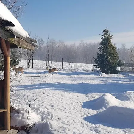 Dom Grabowa Z Sauna , Podgrzewanym Basenem I Balia Z Hydromasazem Gilowice