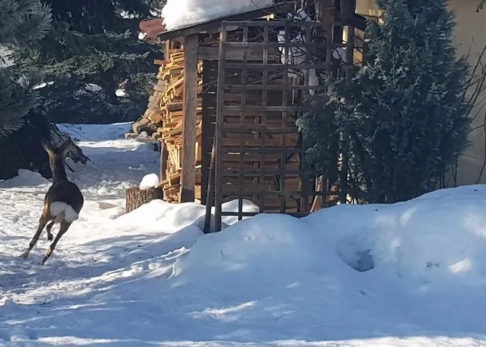 Dom Grabowa Z Sauna , Podgrzewanym Basenem I Balia Z Hydromasazem