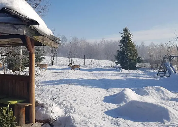 Dom Grabowa Z Sauna , Podgrzewanym Basenem I Balia Z Hydromasazem Gilowice (Zywiec)